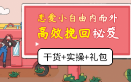 恋爱小白由内而外高效挽回秘笈（干货+实操+礼包）