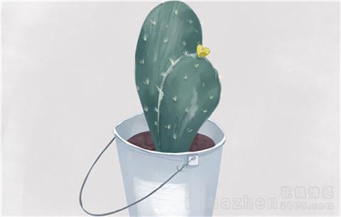 男人会出轨是因为野花香还是家花萎