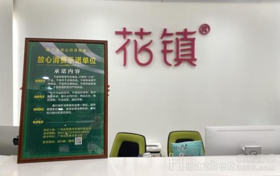 花镇情感怎么样？2026最新：3个标准判断咨询是否有效