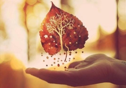 国际标准情商测试题及答案解析