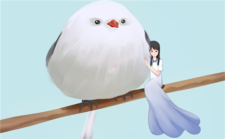 他对你们的感情累了，你该如何挽回爱情？