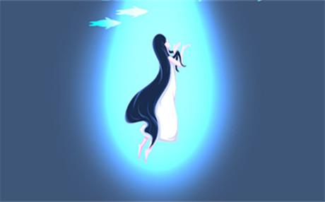 刺五加的功效与作用及禁忌