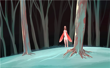 白木耳的功效与作用是什么