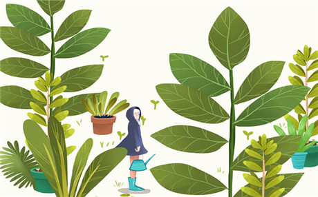 五味子的作用与功效