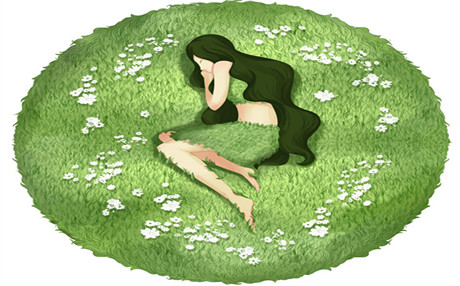 龟板的功效与作用以及龟板的做法