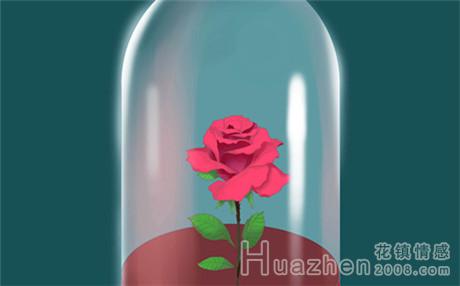 经营婚姻：一生的婚姻与情感应该如何经营