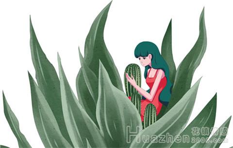 为什么男人忘不了暗恋?