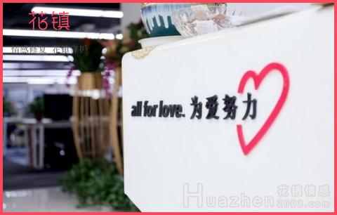 花镇情感主要做什么？